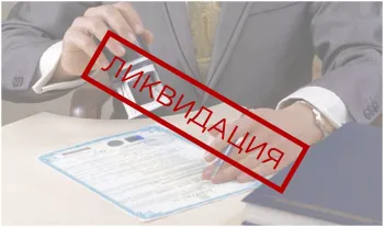 Через пять лет ИП могут исчезнуть