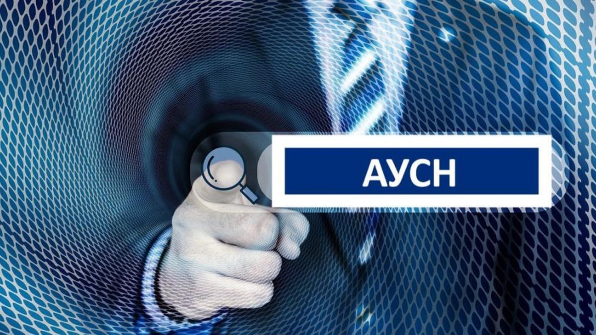 В каких регионах будет доступен АУСН с 2025 года