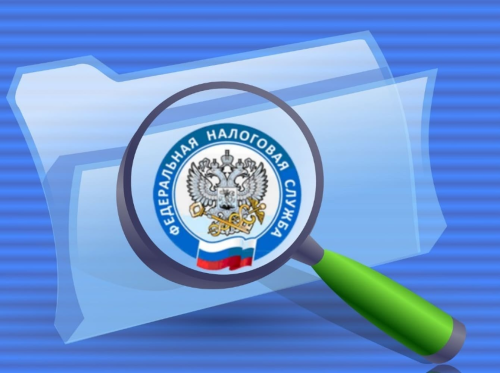 Когда и как проводится бездекларационная налоговая проверка 3‑НДФЛ